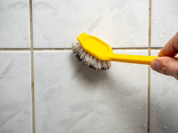 Best Mold Remediation  in Alamo, TX