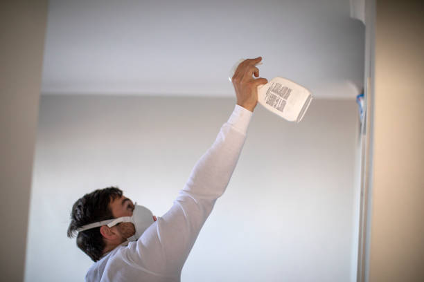 Best Mold Damage Repair  in Alamo, TX
