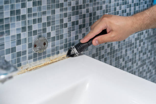 Best Professional Mold Removal  in Alamo, TX